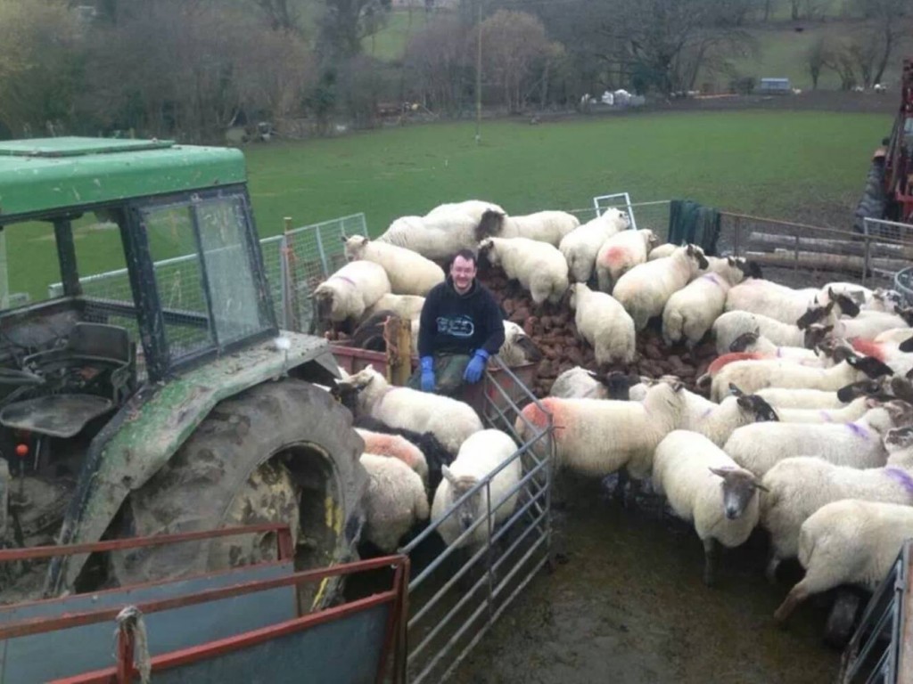 Markus on the farm