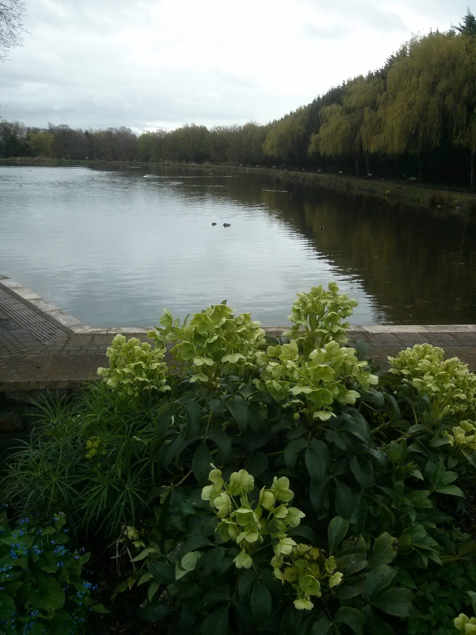 Cwmbran Boating Lake