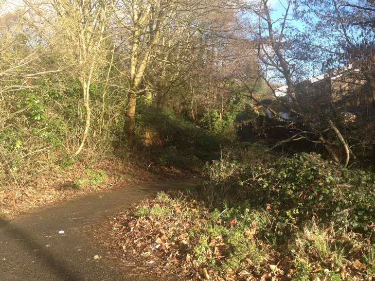 The lane in Coed Eva where a teenage girl was assaulted on Friday 3 March 2016