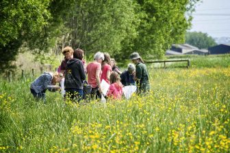 Visitors to Magor Marsh looking for insects