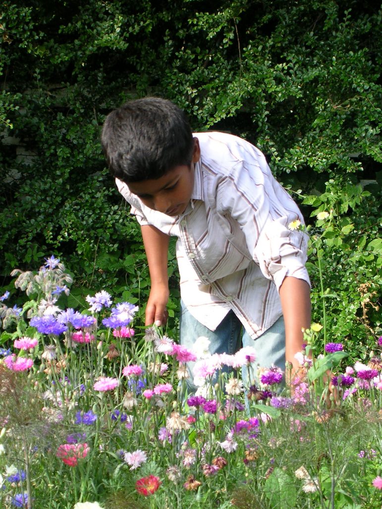 Children learning about plants and nature at a community garden in Bristol;
