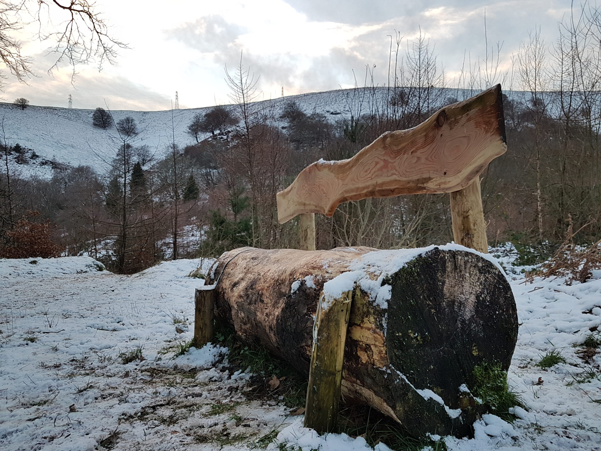 A bench to relax and enjoy the views at Blaen Bran Community Woodland in Upper Cwmbran