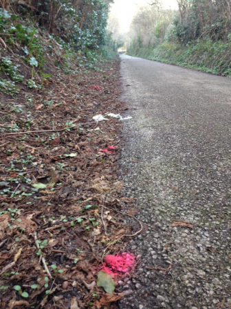 Dog poo on the footpath near Nant Celyn Primary School