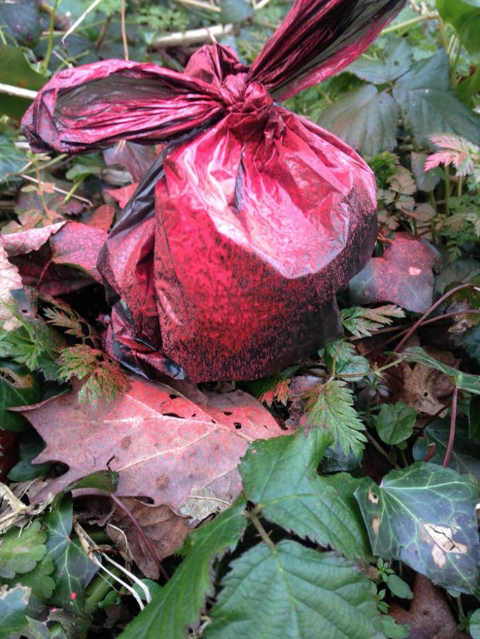 Dog poo in a plastic bag