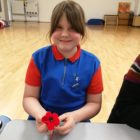 1918 poppies are being knitted by pupils at Croesyceiliog School and the 2nd Fairwater Guides