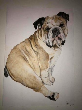 A drawing of a dog by Chelsea Jones of CAJ Artwork