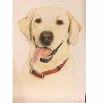 A drawing of a dog by Chelsea Jones of CAJ Artwork