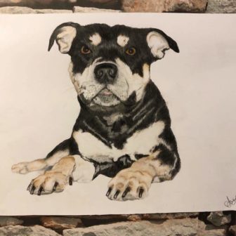 A drawing of a dog by Chelsea Jones of CAJ Artwork