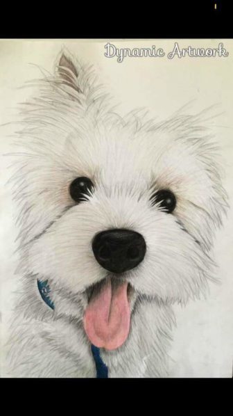 A drawing of a dog by Chelsea Jones of CAJ Artwork