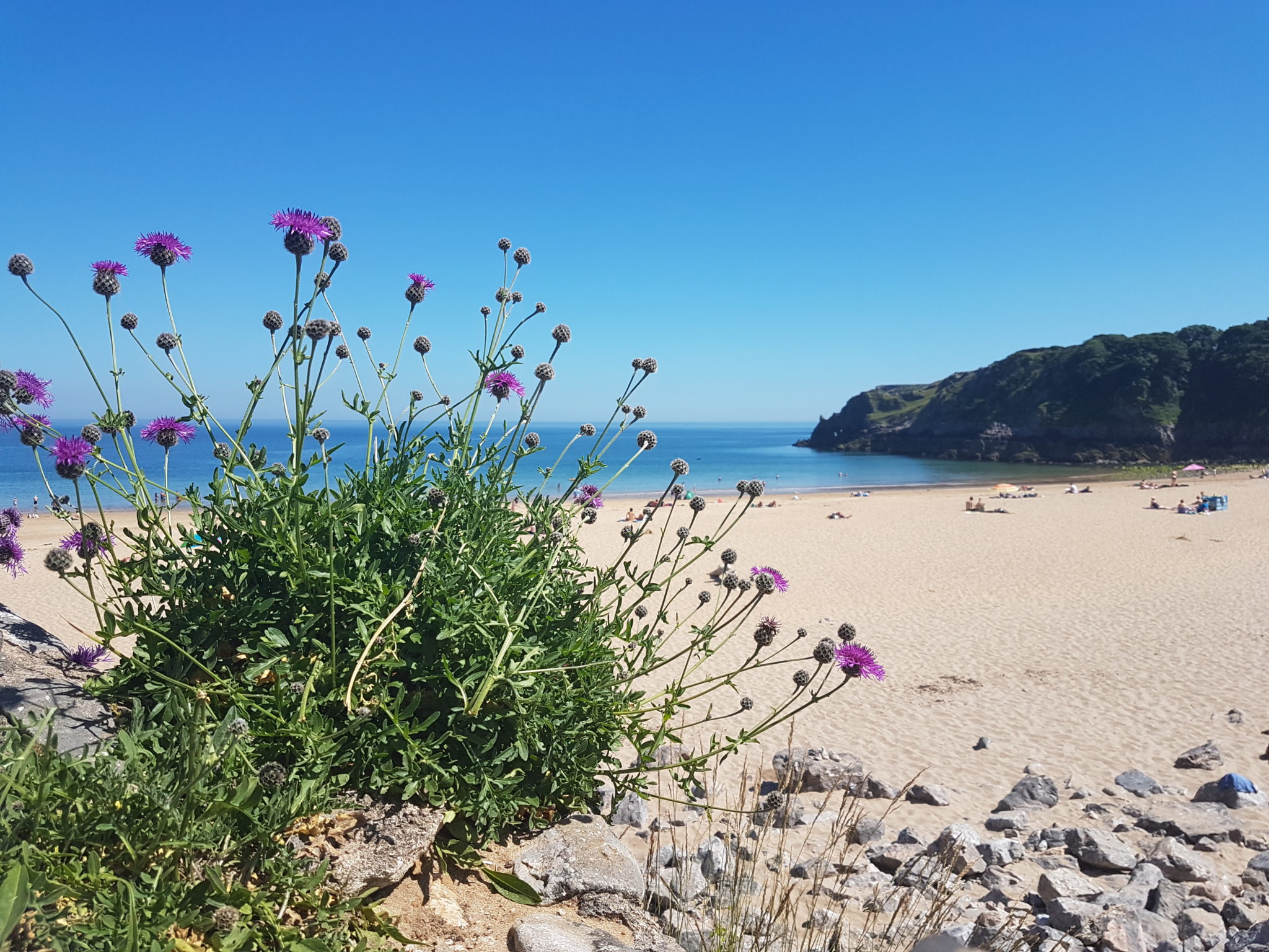 Barafundle Beach