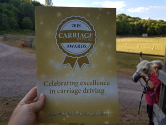 The 2018 Carriage Awards