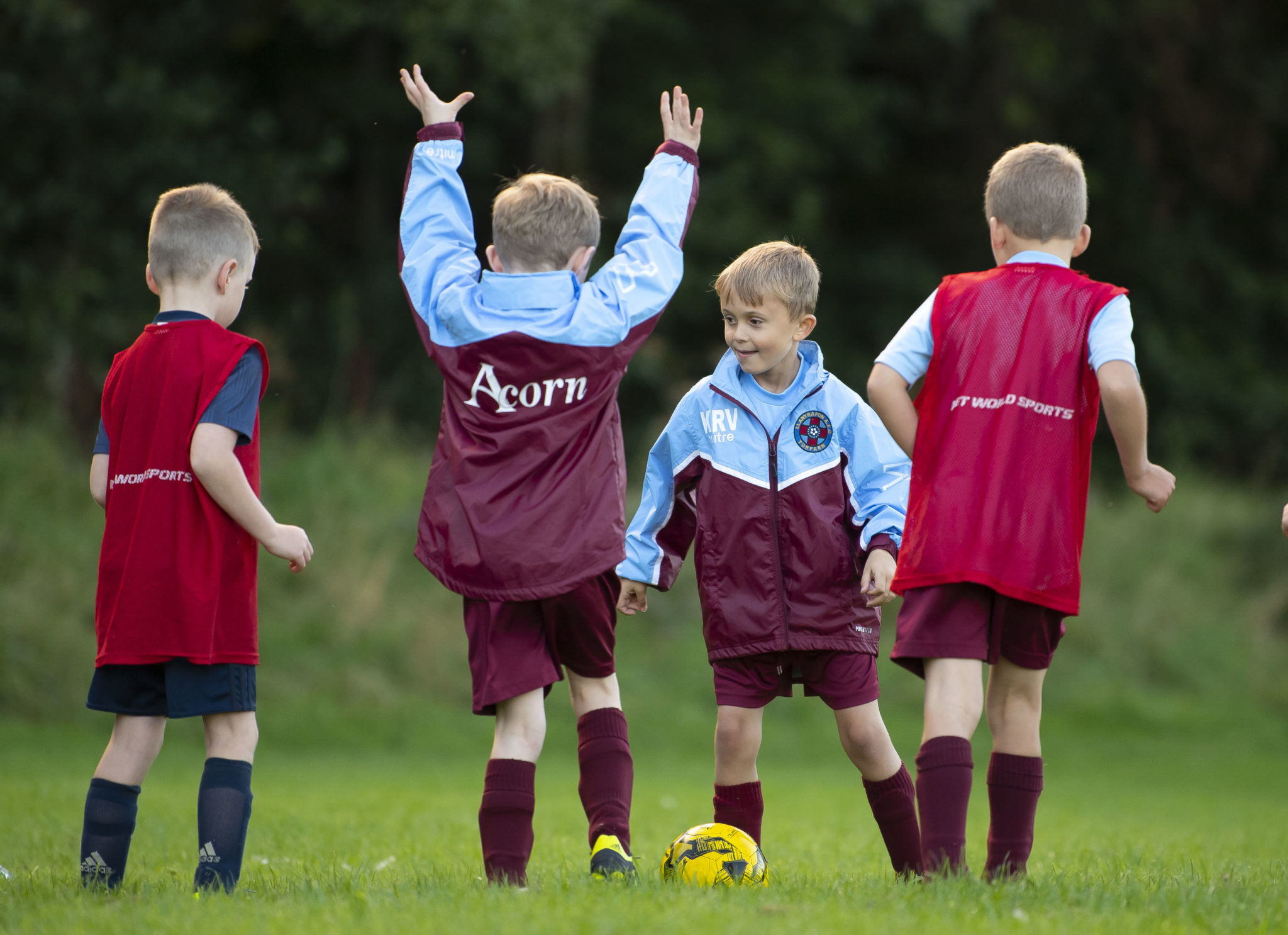 Llanyrafon AFC under 7's