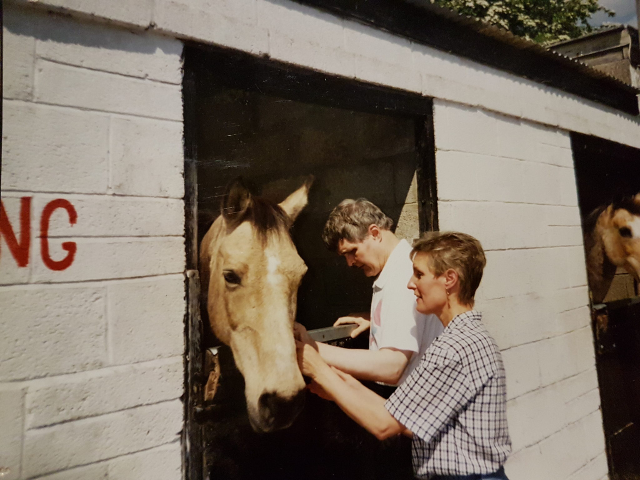 Colin meeting a horse