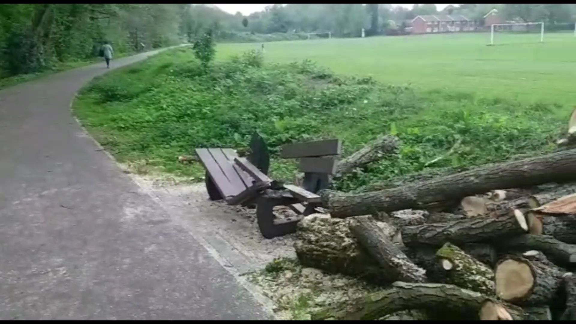 A bench crushed by branches that were cut off a tree