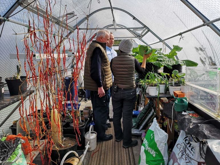 Kevin Fortey and Ian Neale sharing their tips on growing giant veg with a TV journalist from Thailand