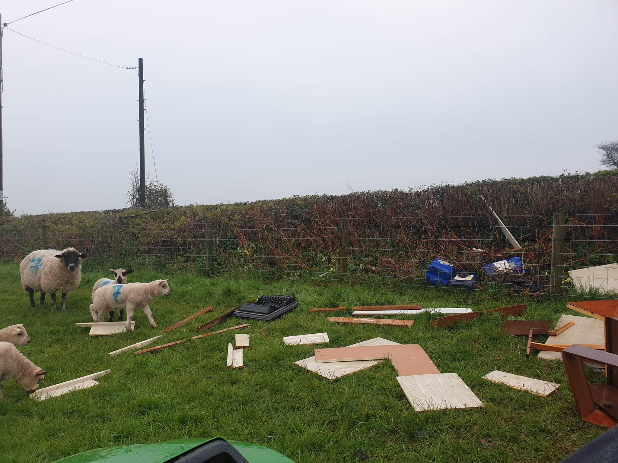 Flytipping in a field used by sheet in Cwmbran