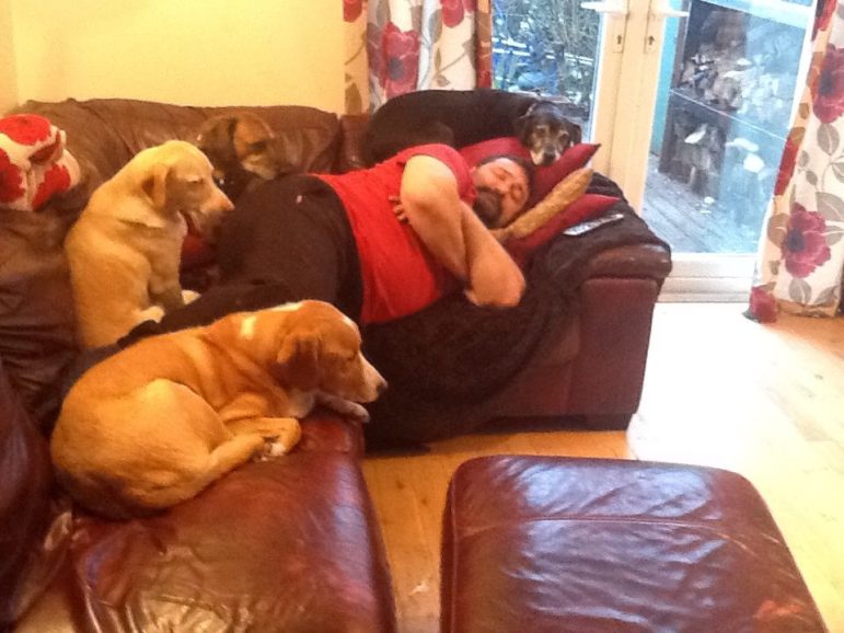 Jerry on a sofa with two dogs