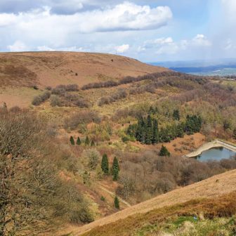 A woodland and reservoir