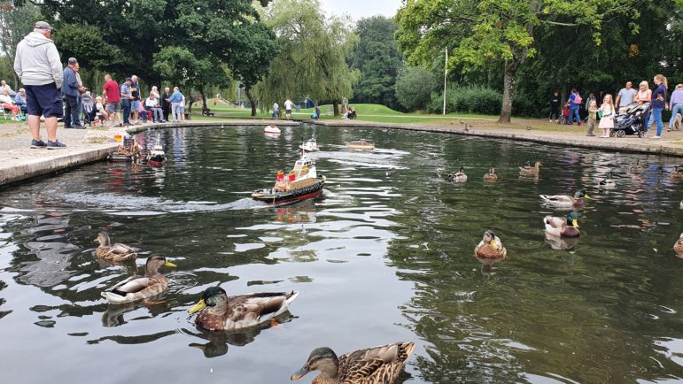 Model boats and ducks