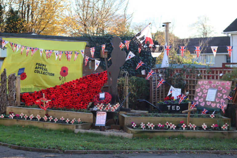 A Remembrance Day garden