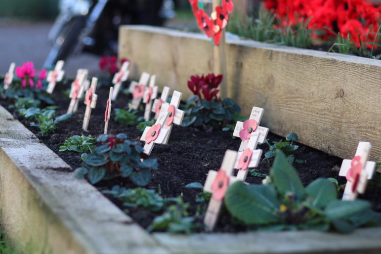 Poppies on crosses