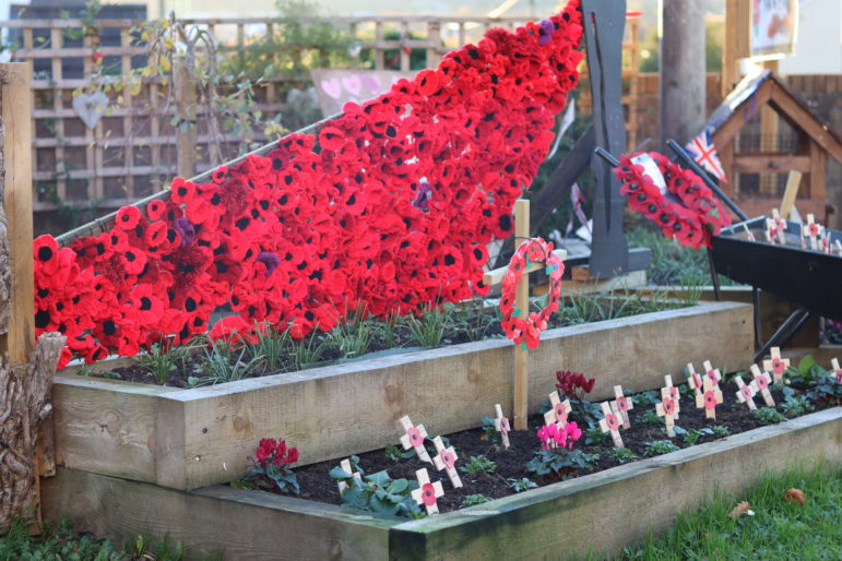 A red wall of 500 poppies