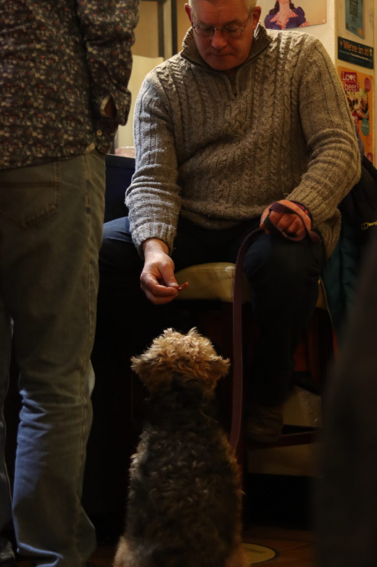 man giving dog a treat