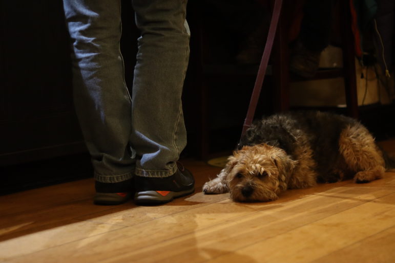 a dog lying on floor