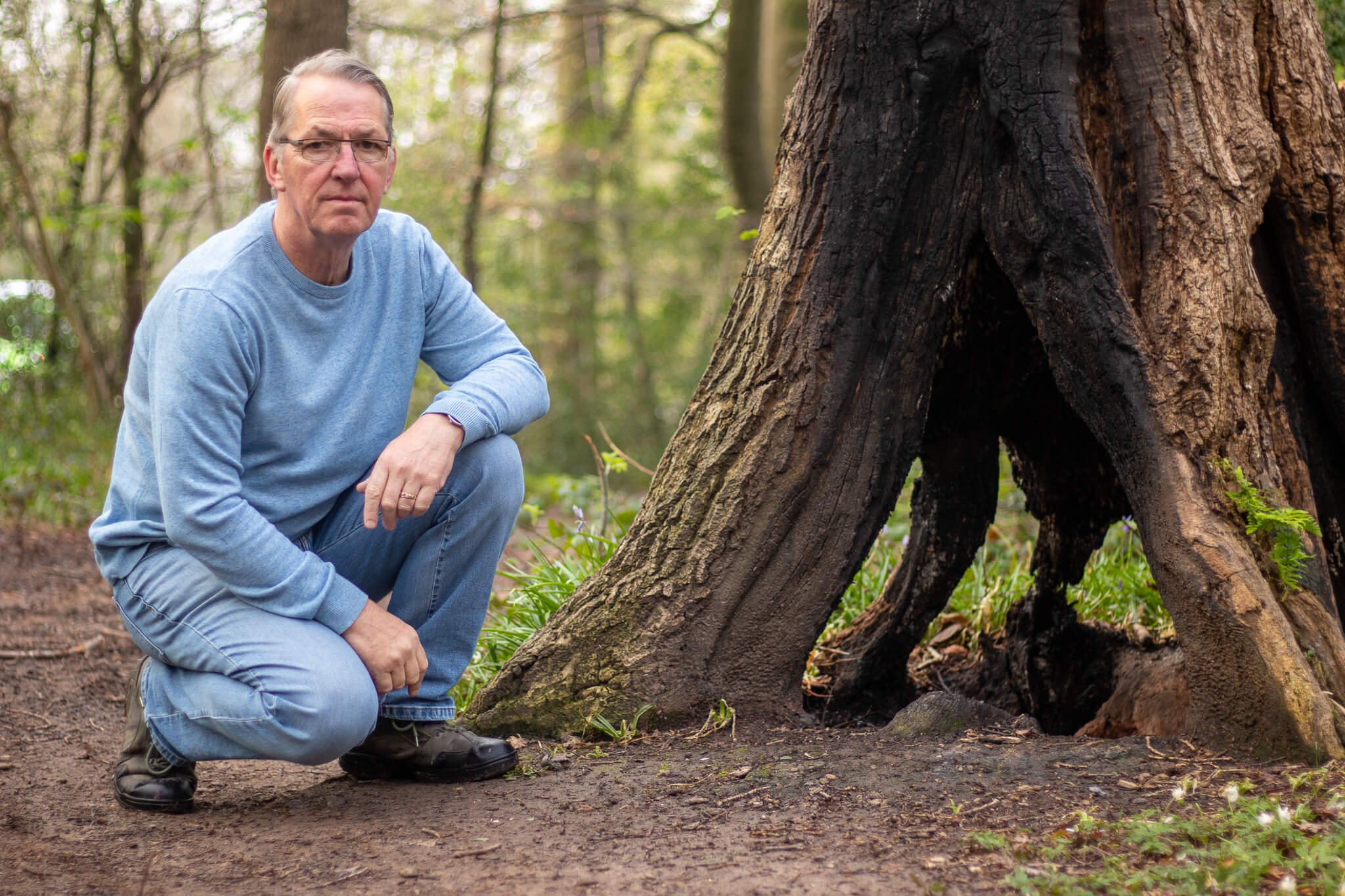 Man kneeling by fire-damaged oak tree