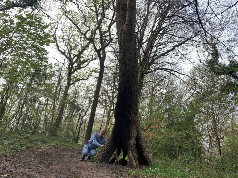 a man kneeling at base of fire-damaged oak tree