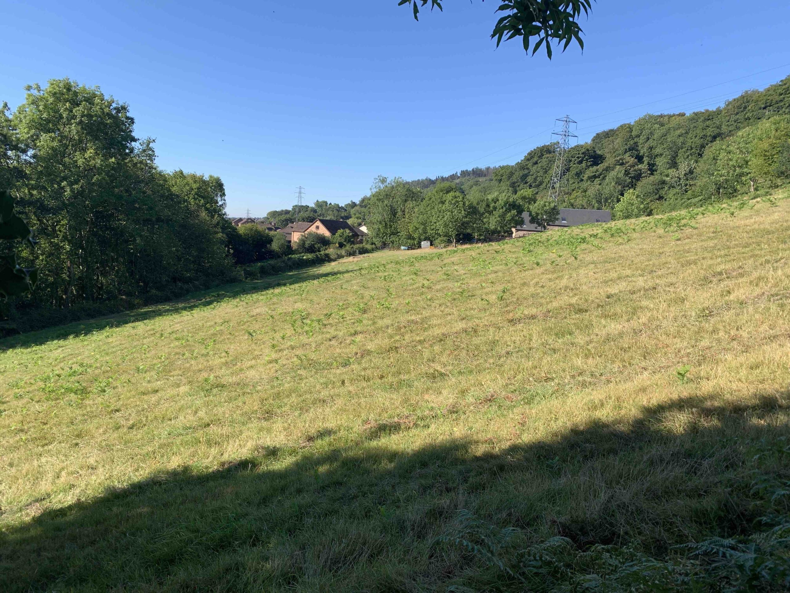 a field
