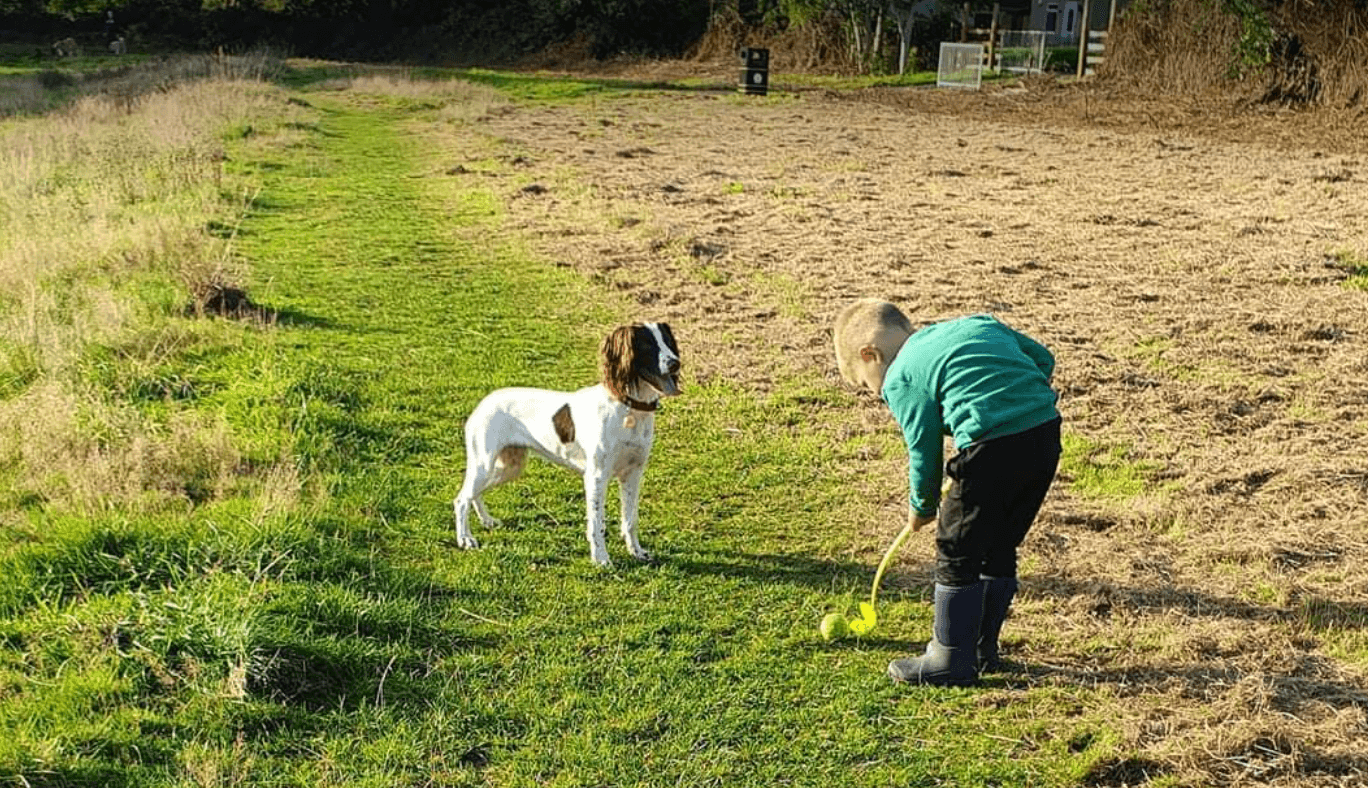 a boy and a spaniel