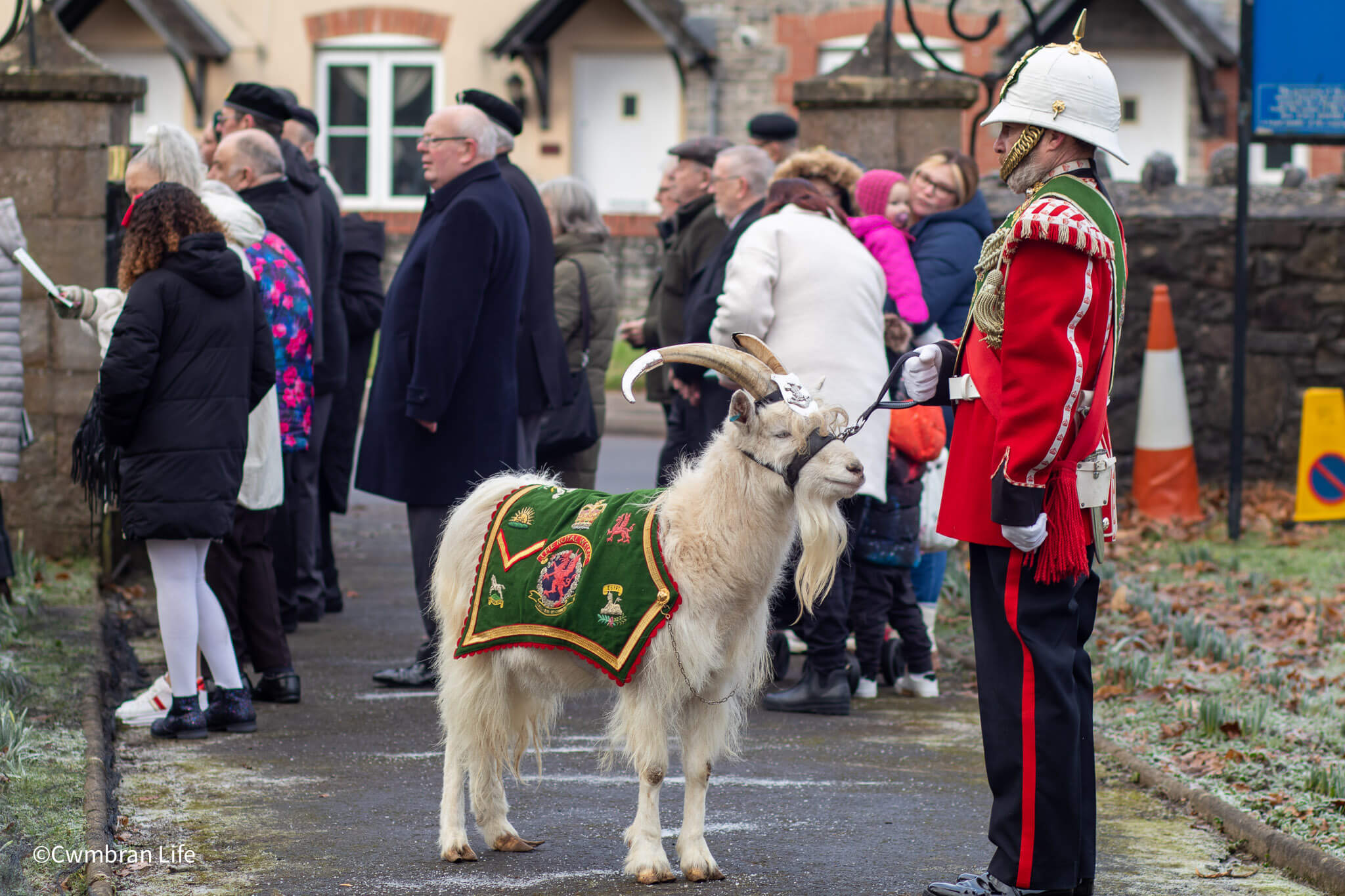 a goat major with a goat