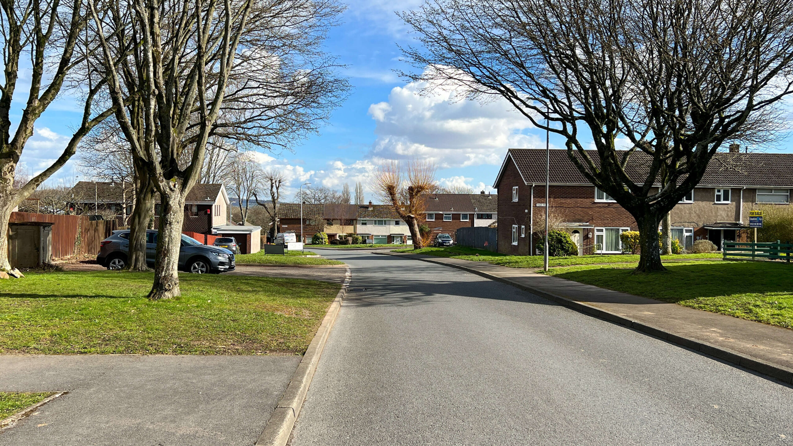 a road with some trees alongside it