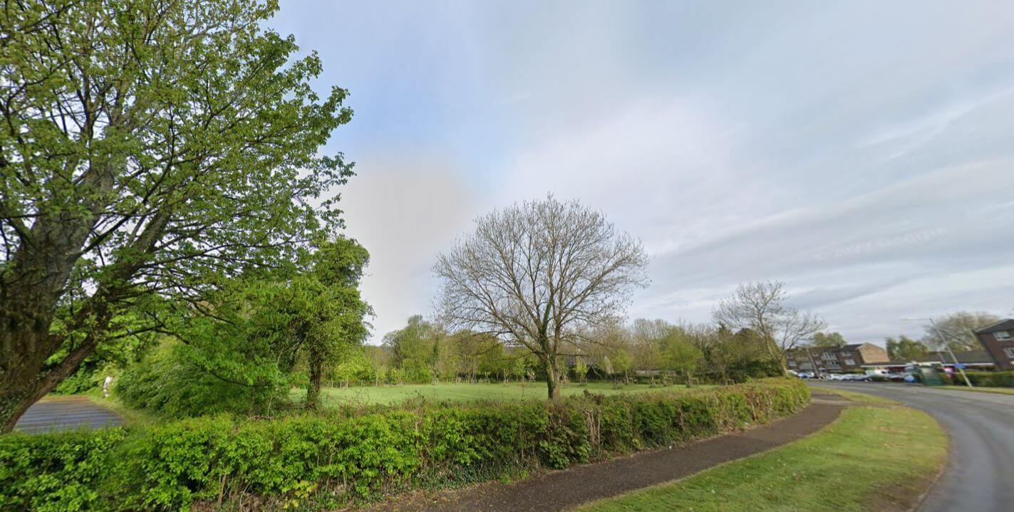 a road with trees and a path alongside it