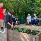 a boy waters a flower bed
