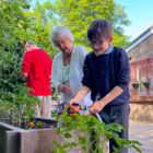 a boy waters plants watched by an older woman