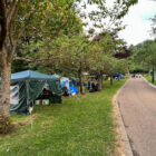tents set up in a park