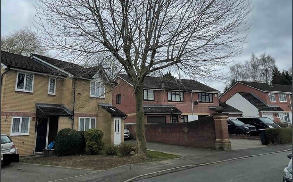 a tree outside a house