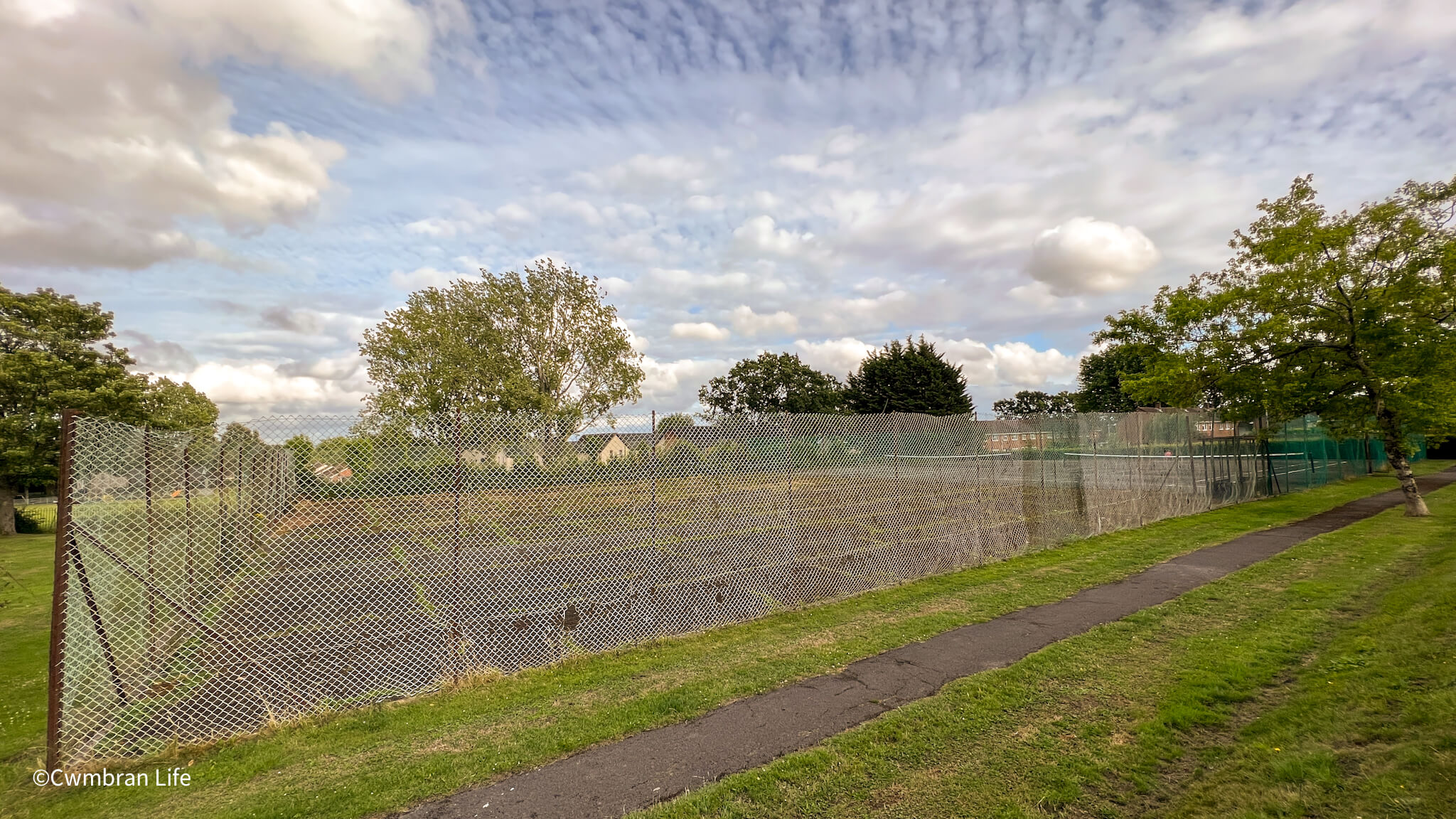 a tennis court overgrown with grass