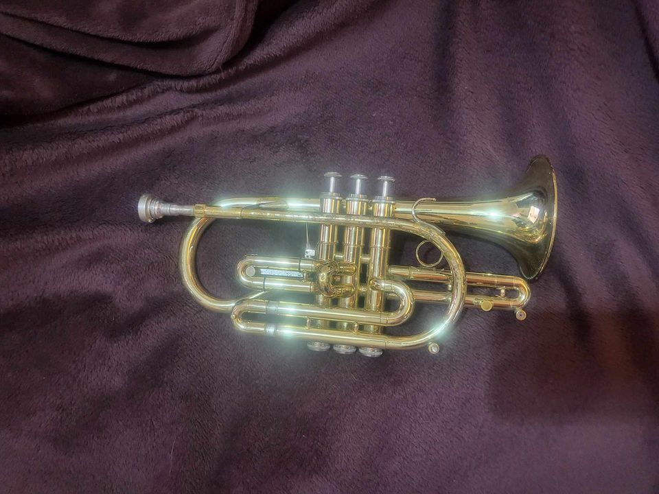 a cornet- brass instrument