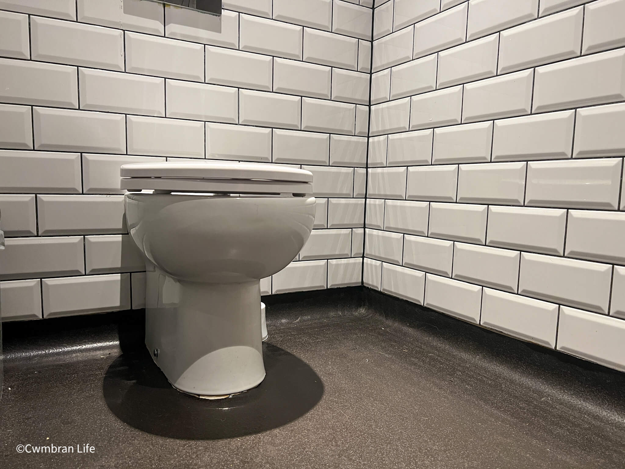 A toilet