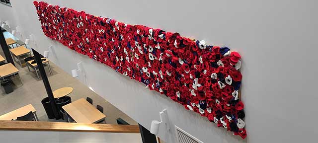 a display of 1918 knitted poppies on a wall