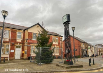 a christmas tree outside a council office