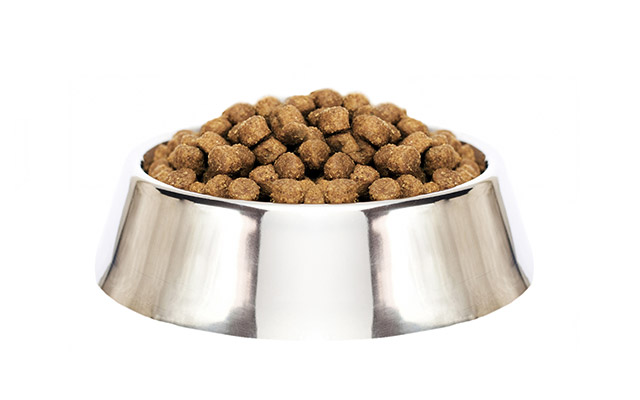 bowl of dog food