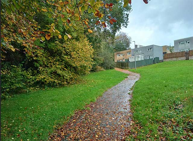 a path running by a woodland