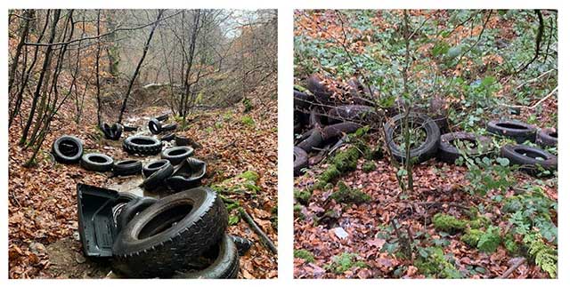 hundreds of dumped tyres