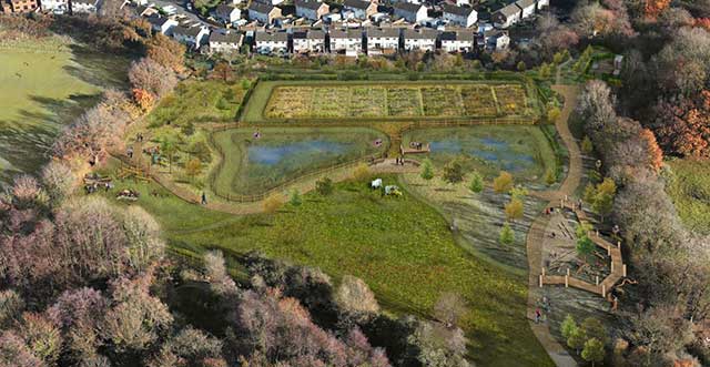 artists drawing of wetland site