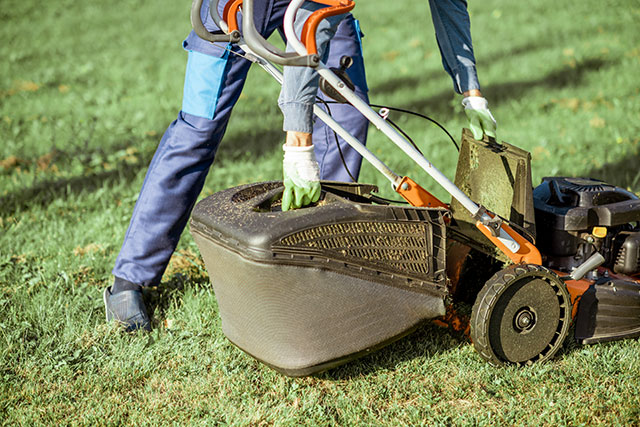 a lawnmower
