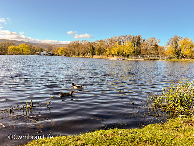 Cwmbran boating lake